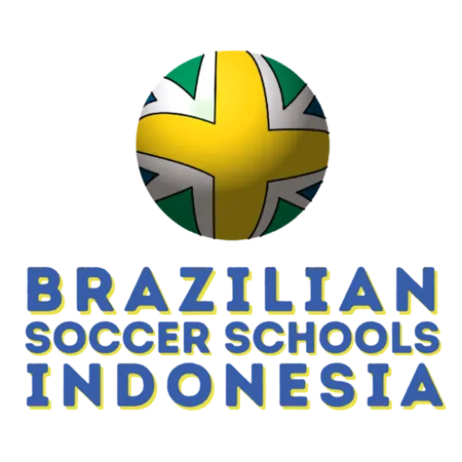 Logo BSS